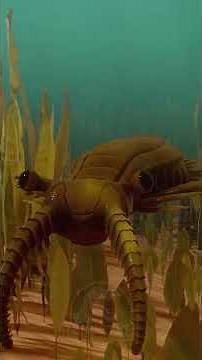 anomalocaris #cambrian #prehistoriclife #ancientearth #paleontology #evolution #predator #fossils