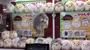 Everybody Super Sonic Racing! From: twitter.com/MrGojira95 | Gamnesia