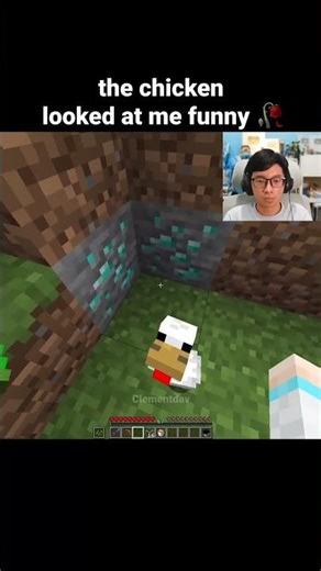 Minecraft Baby Chicken Moment
