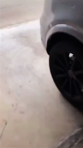 ‏This frightened us out 🤯