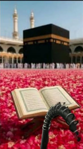 Shumaila Khan – Islamic & Daily Vlogs\n 2. Shumaila Khan – Peaceful Islamic Lifestyle