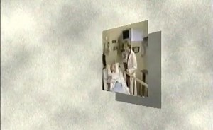 New Guidelines for Professionals