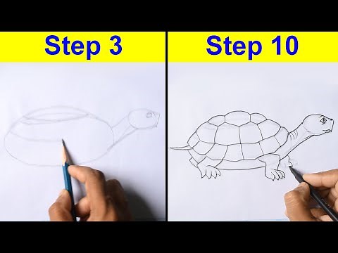 Mastering Turtle Line Drawing: Pencil to Sketch Pen in 3 Minutes!