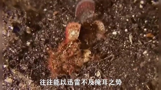 深海中的“变态杀手”，体长3米，比鲨鱼还要恐怖！