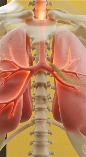 What Happens If You Never Open Your Windows? #facts #3danimation #shorts