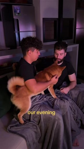 Gay Couple's Evening Routine