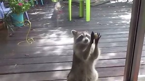 20K views · 260 reactions | “The noise sometimes drives me crazy, but...