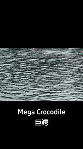 81K views · 885 reactions | The giant crocodile pounced on the speedboat from the shore! #巨鳄 #MegaCrocodile #优酷电影 #youkumovie | Youku Movie | Facebook