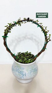 Beautiful ideas for your succulent garden 🪴 #succulents #suculentas #plants | Succulents