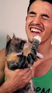 Avec Juju, on adopte ... un chat ! 🐈 | Tibo Inshape