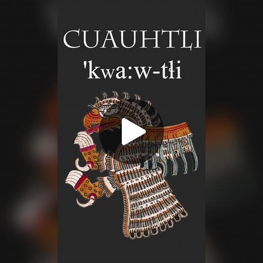 #Nahuatl in 10 Seconds 15: Cuauhtli (Eagle 🦅) #learnontiktok #languagelearning #Mexica