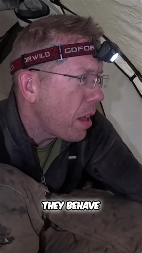 Catch 'em like a catfish! 🎣 Ice fishin' doesn't always mean deep dives – sometimes the best spots are right under the ice! #IceFishing #Burbot #OutdoorBoys #FishingLife #WinterFun #CatchAndCook