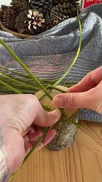 How to make a mini willow bird feeder!