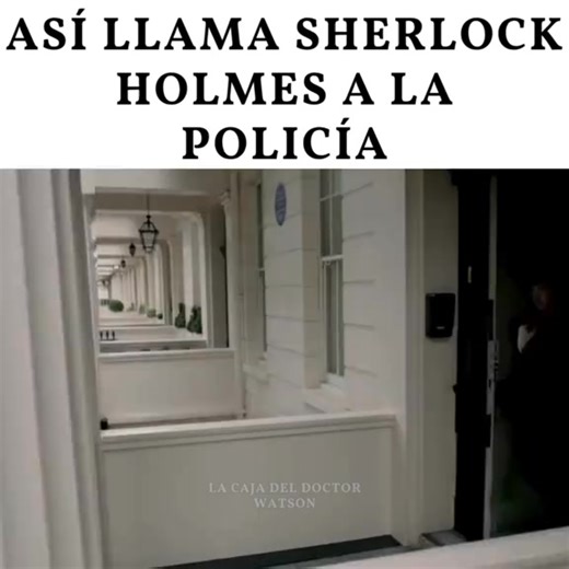 503K views · 10K reactions | Dementes Visuales on Reels | Facebook