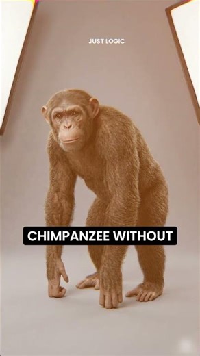 Animals Without Fur Look Unreal #ytshorts #facts #justlogic