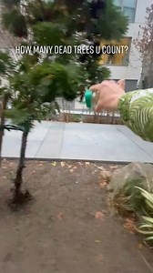 As the LA fires are fueled by invasive plants and shrubs can we talk about the important of native plants in fire prevention efforts‽ | SFinBloom