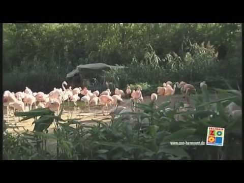 Erlebnis-Zoo Hannover