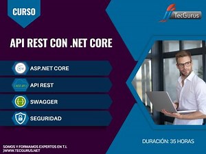 Consultor API REST con .Net Core