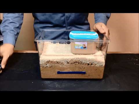 Soil liquefaction due to earthquake. UTHM GEOFEST'14