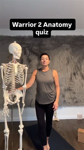 25 reactions · 4 comments | The link to the Accelerator program is in my bio. I’m recording this on November 24, 2025. If you get in touch with me via direct message by December 1 and mention that you watched this video I’ll give you $50 off the enrollment! #yoga #yogateachers #yogaanatomy | Bare Bones Yoga | Facebook