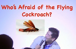 4.2K views · 96 reactions | Who's afraid of cockroaches? I am. Just sharing an old bit of mine with you guys. Have a fun Saturday. ====> May contain some language not appropriate for children <==== | Tim Tayag | Facebook