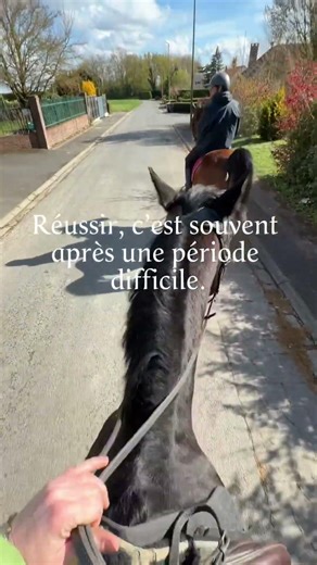 🪄 #equitation #balade #soleil #cheval