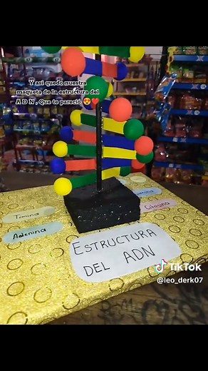 Maqueta del ADN: Guía completa paso a paso