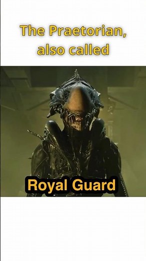 PRAETORIAN: PALACE Power - Every Xenomorph Explained