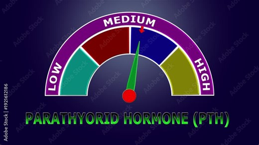 4K Animated Parathyroid Hormone (PTH) Level Meter Increasing from Low to High Levels , Monitoring Calcium Regulation and Bone Health.