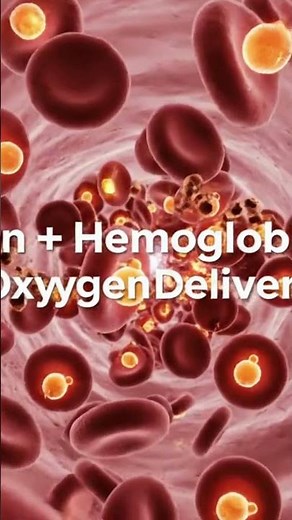 Medical illustrations of How Iron works in the body in 3D Video and it effects and movement
