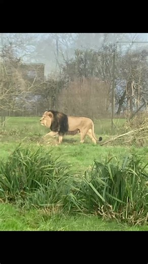 Esmae Johnson (@esmae.johnson)’s videos with original sound - Esmae Johnson