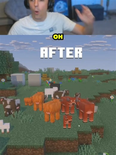 DR.Donut Reviews Exciting Minecraft Snapshot