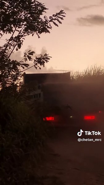 Truck thing🦍#fijitiktok🇫🇯 #trucks#mrc #editor #viral #fypシ゚