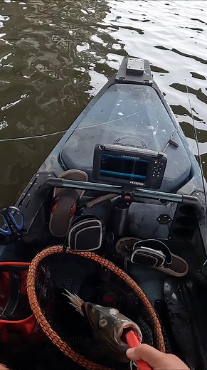 This Bridge has HUGE FISH on it!! | Southern Salt Fishing