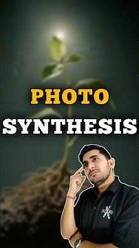 Photosynthesis in higher plants class 11 | NEET | Biology