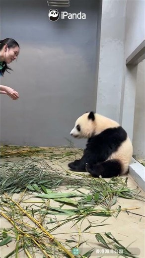 It’s Snack O’clock! | iPanda #shorts #HKPanda