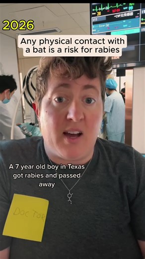 Rabies is almost always fatal, but post-exposure prophylaxis (PeP) can be given following exposure to nearly eliminate this risk#rabies#dog#dangerous#bat#bite