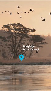 Rustplekje: De Veluwe bij Kootwijk🌲 Op zoek naar een momentje voor jezelf tijdens de kerstvakantie? De uitgestrekte zandvlaktes en mysterieuze bossen van Radio Kootwijk brengen je helemaal tot rust.💆‍♀️ Het zachte ruisen van de wind door de dennenbomen en de weidse vergezichten helpen je om weer helder te denken. Stress-tip: Volg de prachtige wandelroute rond de monumentale zendtoren (6 km) en sta af en toe even stil om diep adem te halen en de serene natuur in je op te nemen. De locatie vind 