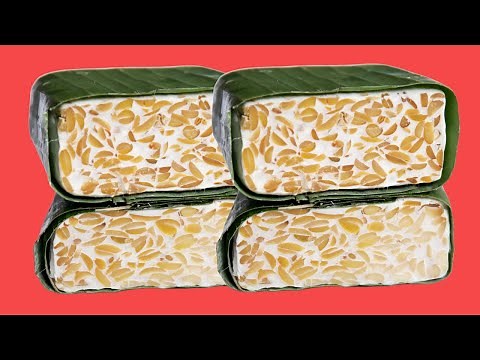 10 Phosphorus-Rich Foods That Help Boost Bone Strength | VisitJoy