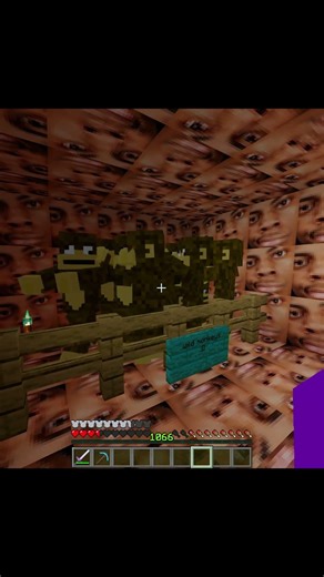 DO NOT join random Minecraft servers 💀