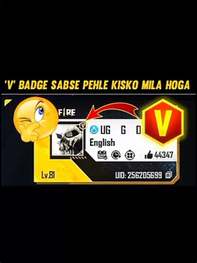 Sabse Pehla V Badge Kis YouTuber Ko Mila? 😱 FF Fact