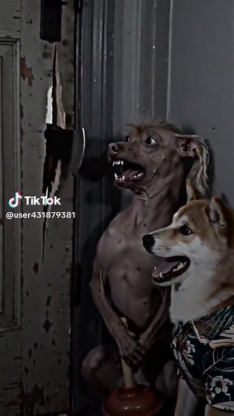 Creator Search Insights: Boost Your Views