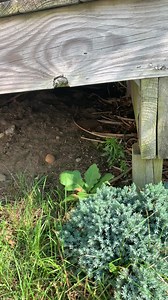 554K views · 3.9K reactions | Saved ! Please people recycle ♻️ your...