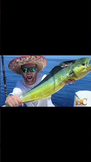 Body of skier recovered 7 months after avalanche in Alaska; 2 remain missing