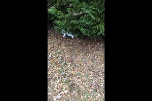 49 reactions | Happy weekend, everyone! Crystal hopes you dig up some...