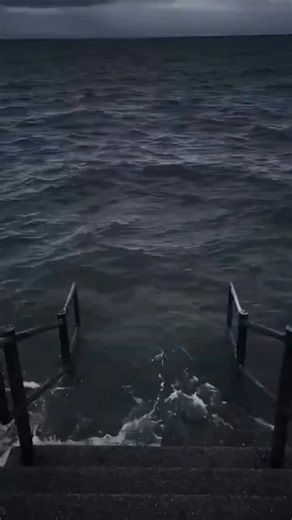 watch until end #various #videos