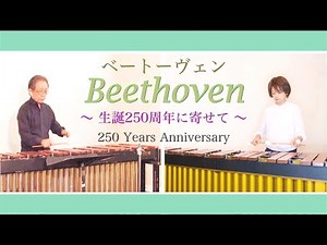 【マリンバ演奏】Marimba Duo - Beethoven ベートーヴェン メドレー/♪エコセーズ ♪エリーゼのために ♪テンペスト - マリンバ デュオ - 佐々木達夫 & 野口道子