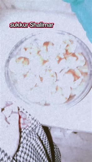 Exploring Sukkur: Discover Shalimar's Beauty