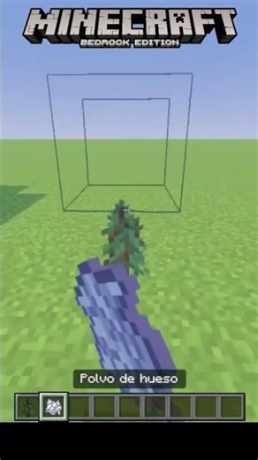 en minecraft Java se puede plantar cualquier tipo de abeto