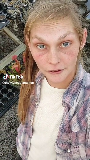 Peace Lily Drainage Problems: Plant Doctor Tips